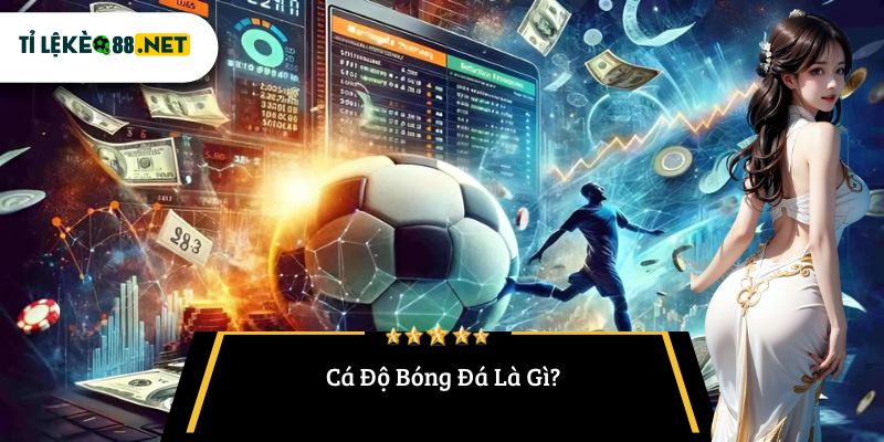 Cá Độ Bóng Đá Là Gì?