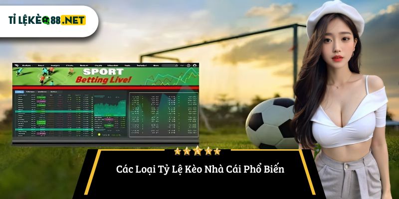 Các Loại Tỷ Lệ Kèo Nhà Cái Phổ Biến