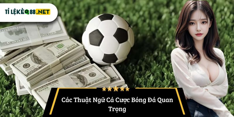 Các Thuật Ngữ Cá Cược Bóng Đá Quan Trọng