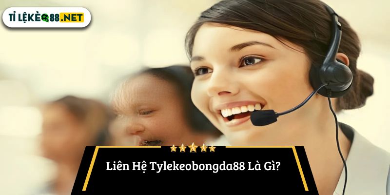 Liên Hệ Tylekeobongda88 Là Gì?