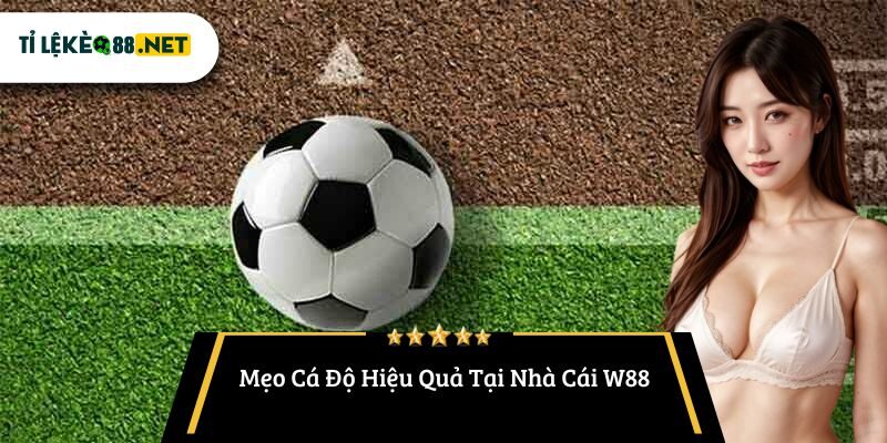 Mẹo Cá Độ Hiệu Quả Tại Nhà Cái W88