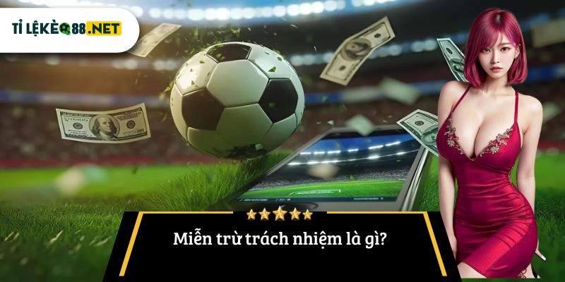 Miễn trừ trách nhiệm là gì?
