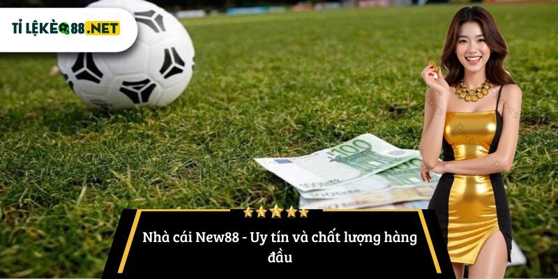 Nhà cái New88 - Uy tín và chất lượng hàng đầu