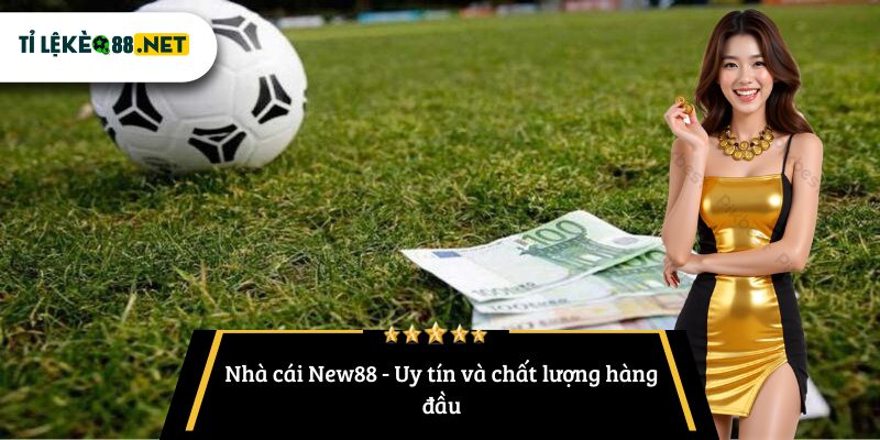 Nhà cái New88 - Uy tín và chất lượng hàng đầu