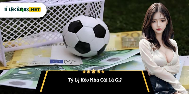 Tỷ Lệ Kèo Nhà Cái Là Gì?
