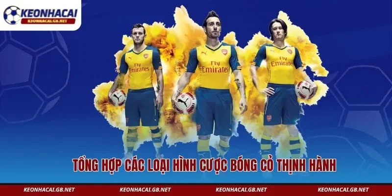 Tổng hợp các loại hình cược bóng cỏ thịnh hành