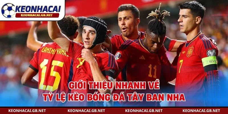 Giới thiệu nhanh về tỷ lệ kèo bóng đá Tây Ban Nha
