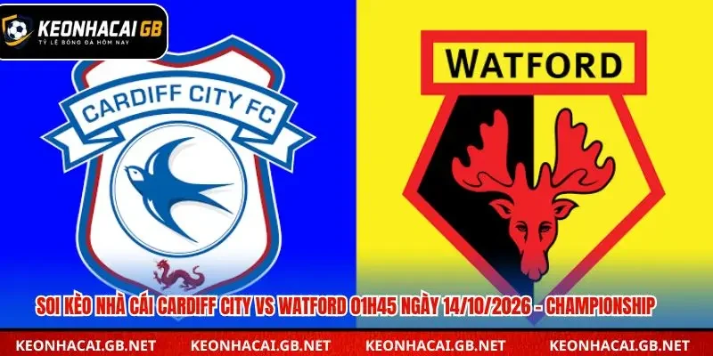 Soi Kèo Nhà Cái Cardiff City Vs Watford 01h45 Ngày 14/10/2026 – Championship